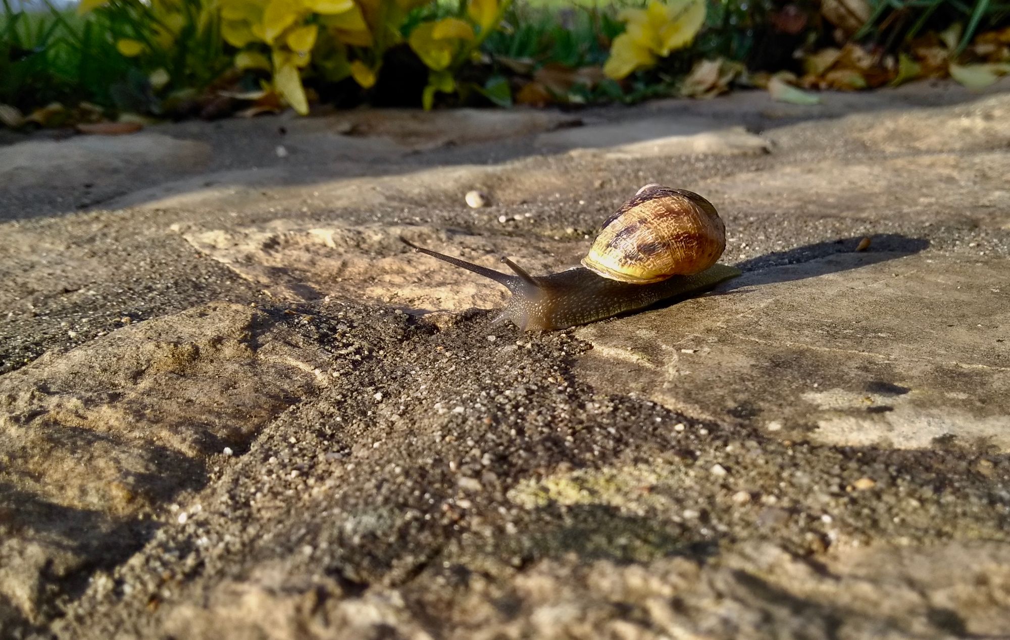 Sessão de Acolhimento: 29/janeiro/2026