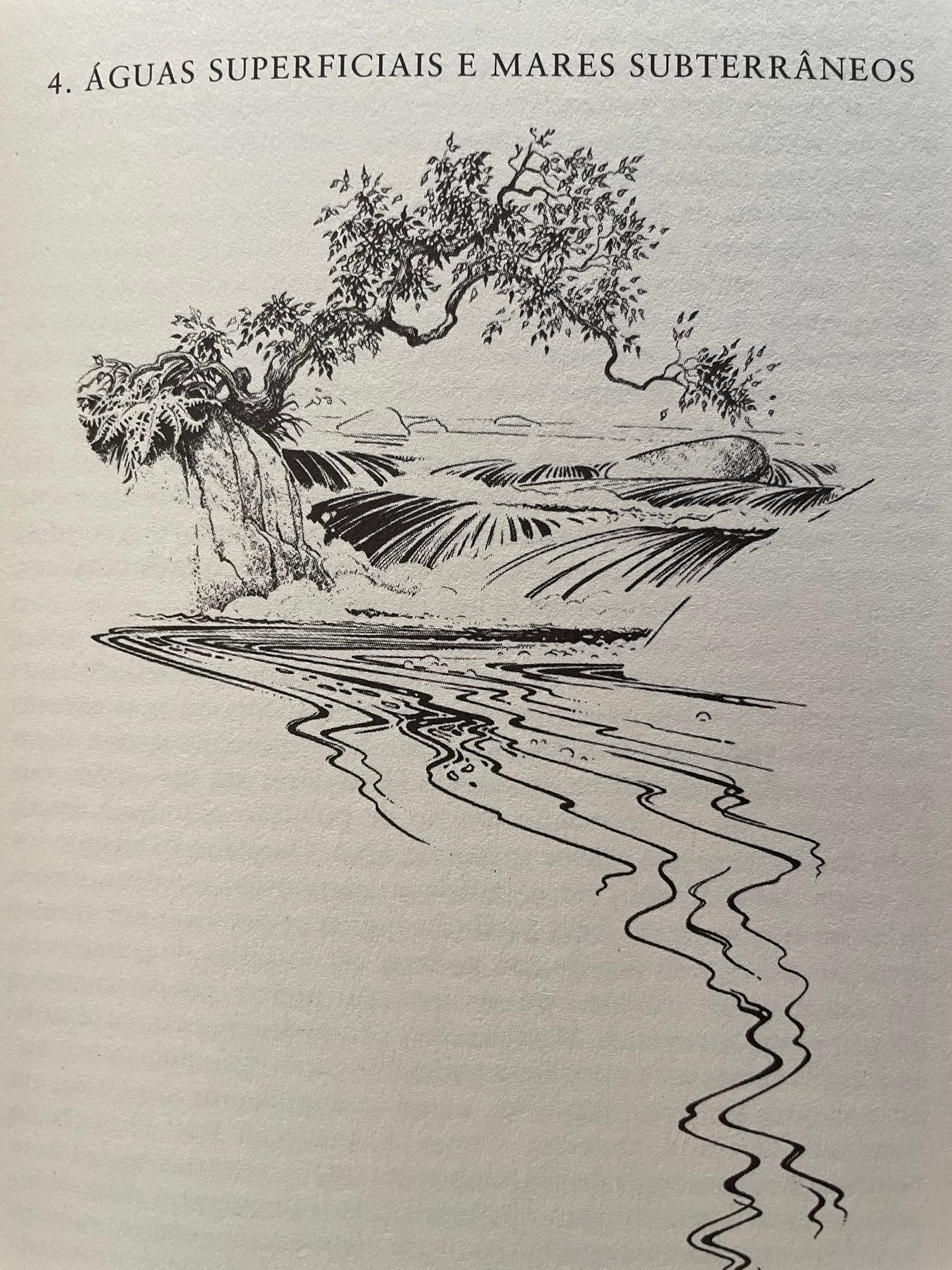 Rachel Carson - Primavera Silenciosa