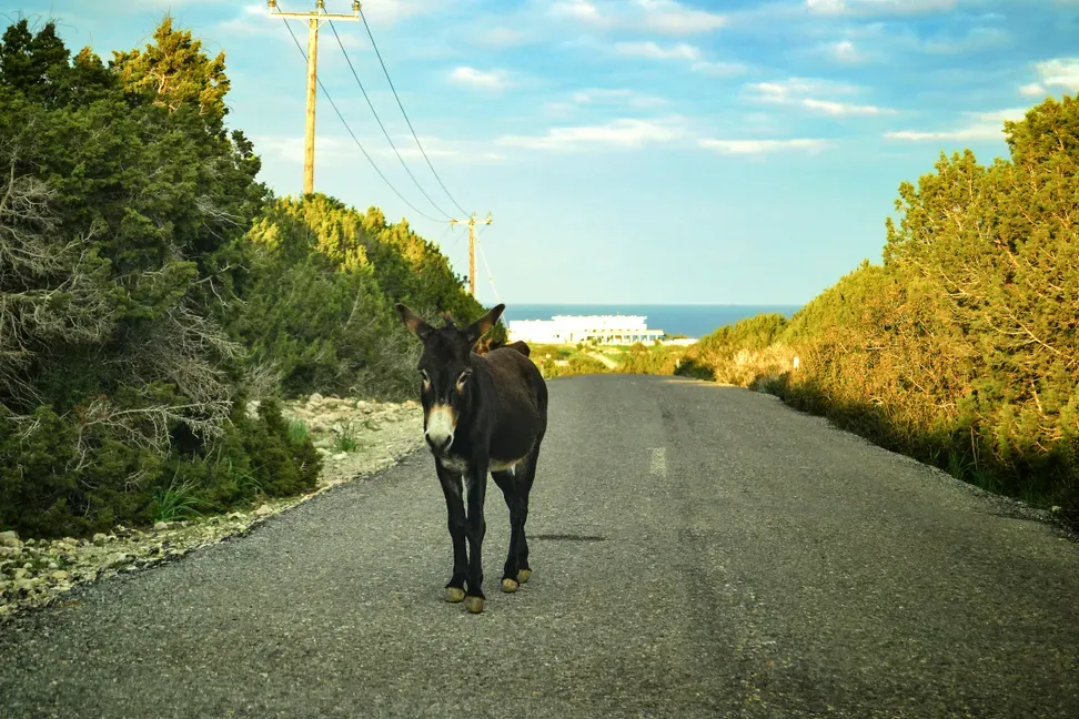O Mito da Poupança de Tempo: Sobre a Relação entre Mobilidade e Território