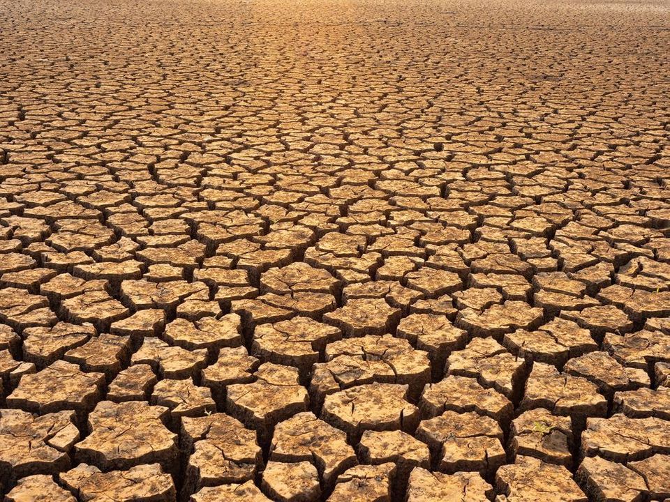 Crescer até Rebentar? Os Limites ao Crescimento: A Crise Ecológica