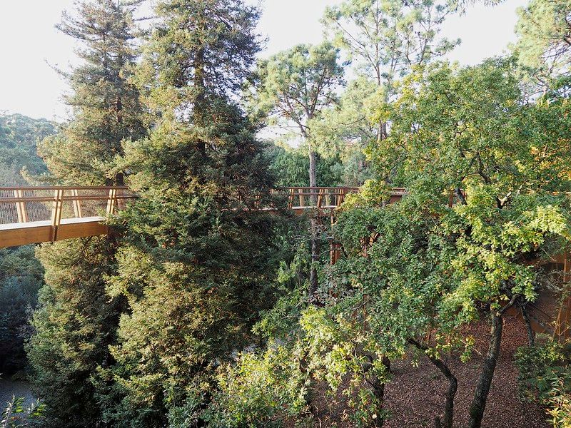 Natureza de Boutique