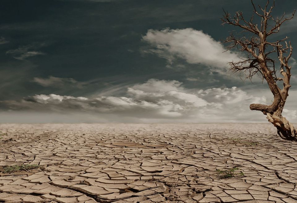 81 Artigos da Lei de Bases do Clima que não nos vão Salvar do Caos Climático