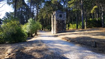 Dia Global do Decrescimento em Lisboa - Caminhada pelo 'Corredor Verde' até Monsanto