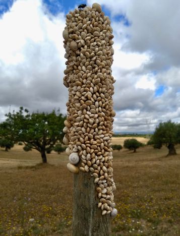 Sessão de Acolhimento